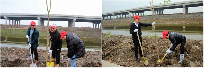Arbor Day organizes employees to participate in volunteer activities 4